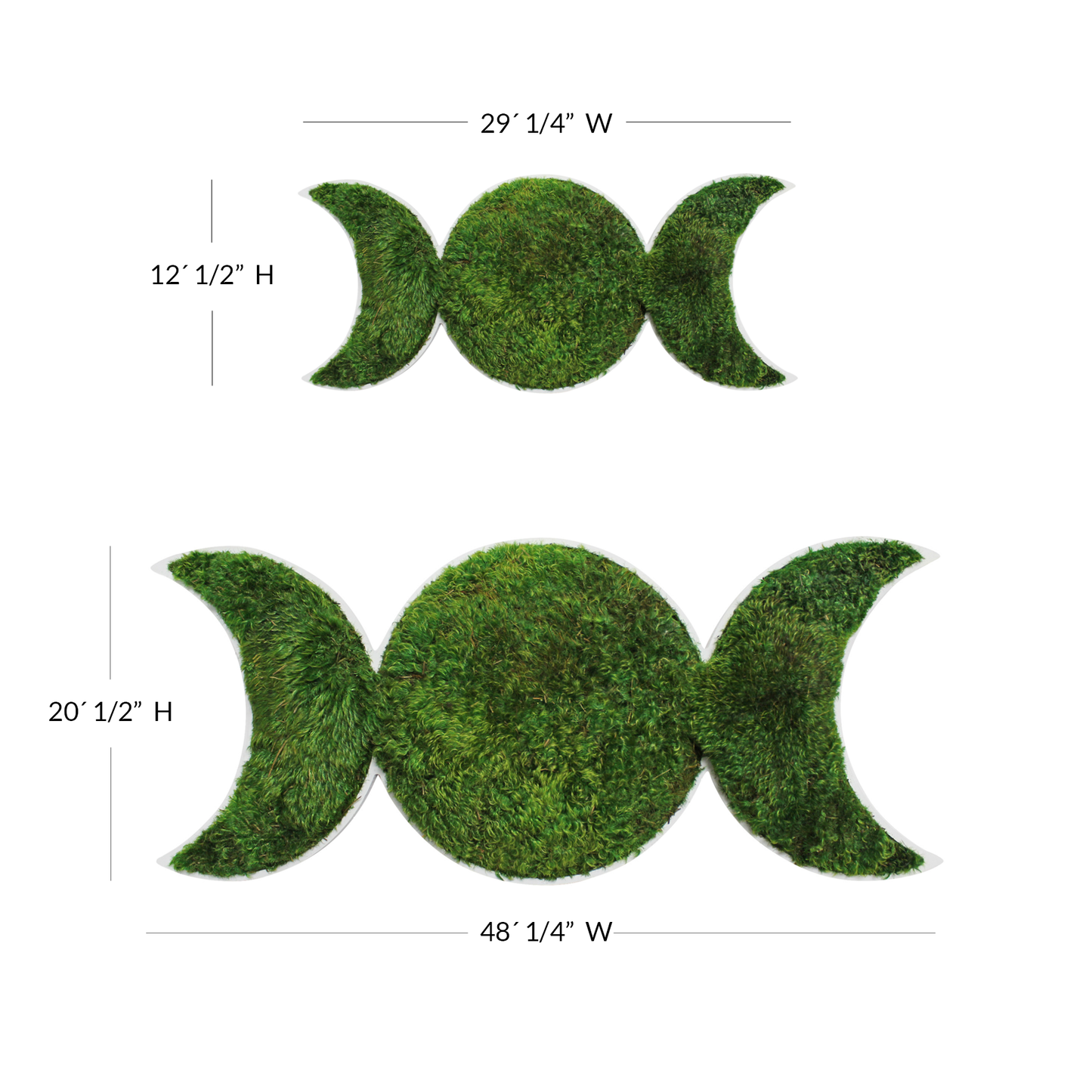 Lunar Eclipse - Moss Wall Design